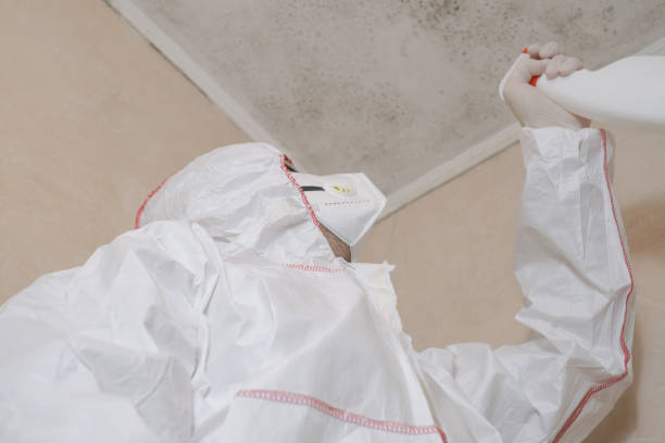 Best Bathroom Mold Remediation in Copiague, NY